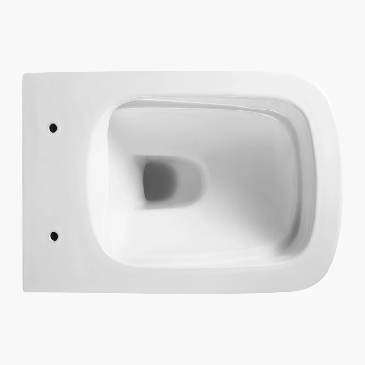wall hung toilet bowl vs floor mounted