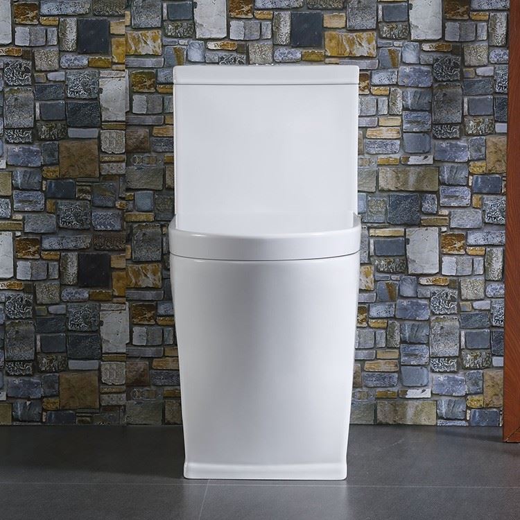round one piece skirted toilet